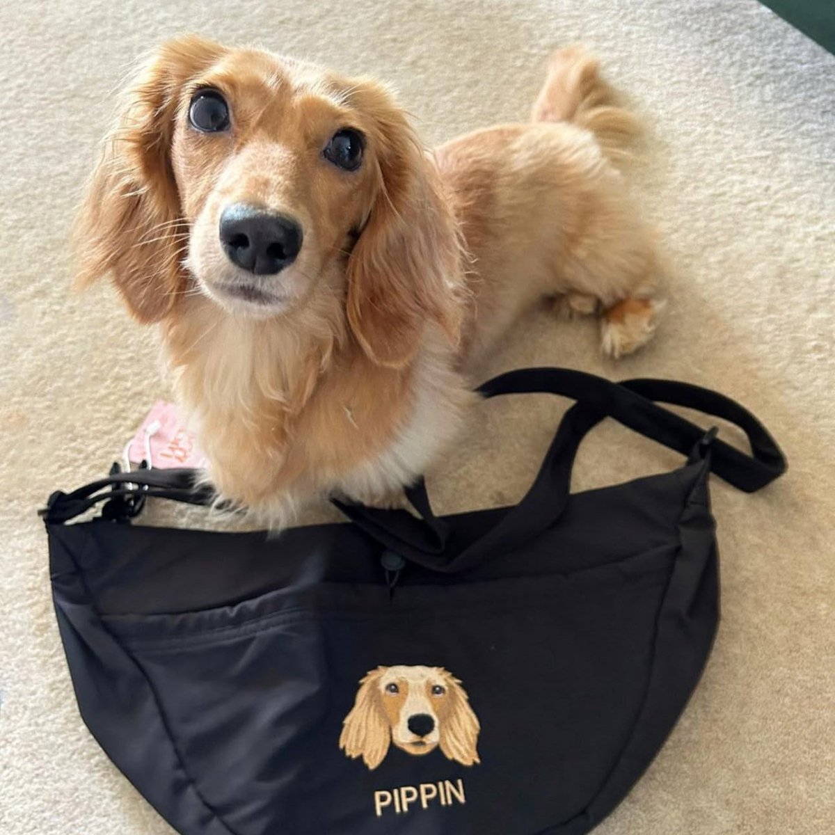 How to Choose a Custom Pet Portrait Company - Lucy and Lola Shop