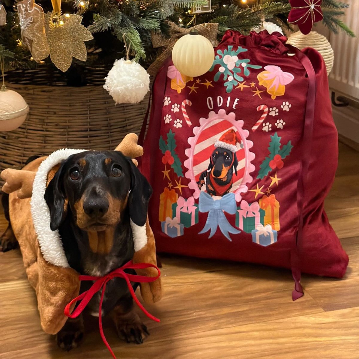 Christmas Gifts for Cat Lovers (That Show You Get It)