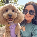 Embroidered Pet Portrait 100% Organic Cotton T-Shirt - Lucy and Lola Shop- Custom embroidered pet t shirt