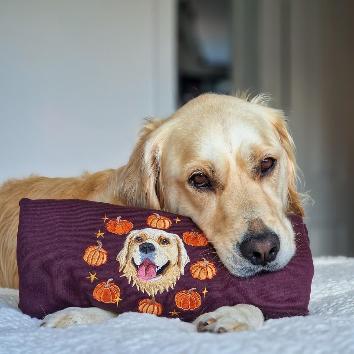 New: Autumn Design Embroidered Pet Portrait Organic Sweatshirt - Lucy and Lola Shop