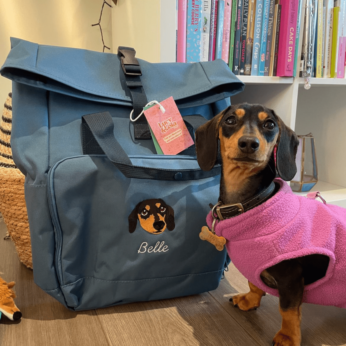 Recycled Large Embroidered Pet Portrait Backpack - Lucy and Lola Shop