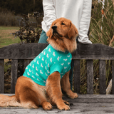 Teal Heart Knitted Dog Jumper or Cat Jumper - All Profits to the Dog's Trust - Lucy and Lola Shop