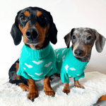 Teal Heart Knitted Dog Jumper or Cat Jumper - All Profits to the Dog's Trust - Lucy and Lola Shop